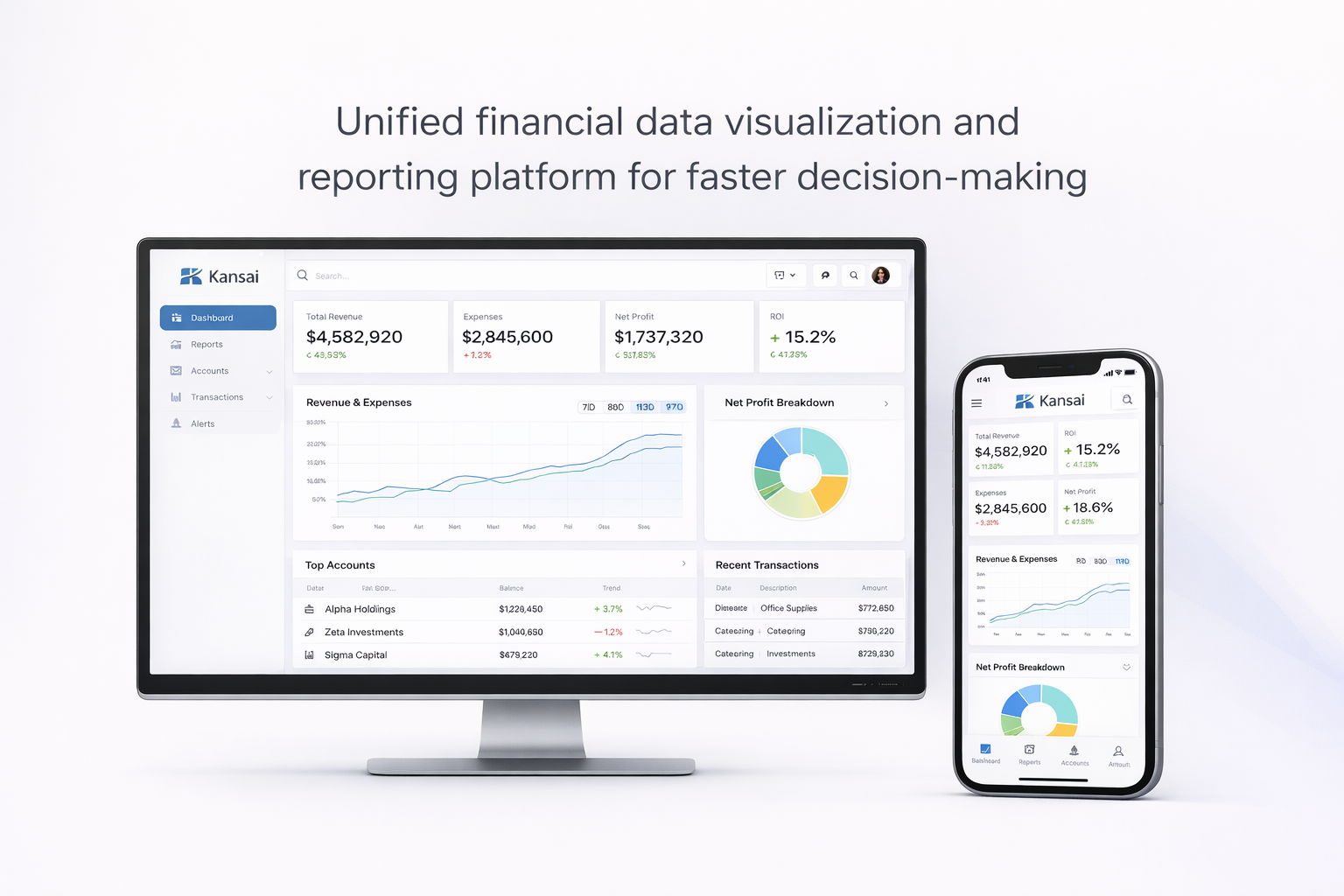 Unified financial data visualization and reporting platform for faster decision-making